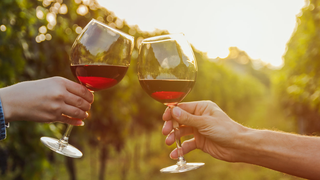 France scraps Dry January campaign after alleged pressure from winemakers